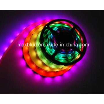 DC12V 30LEDs/M Ws2811 Digital LED Strip Light